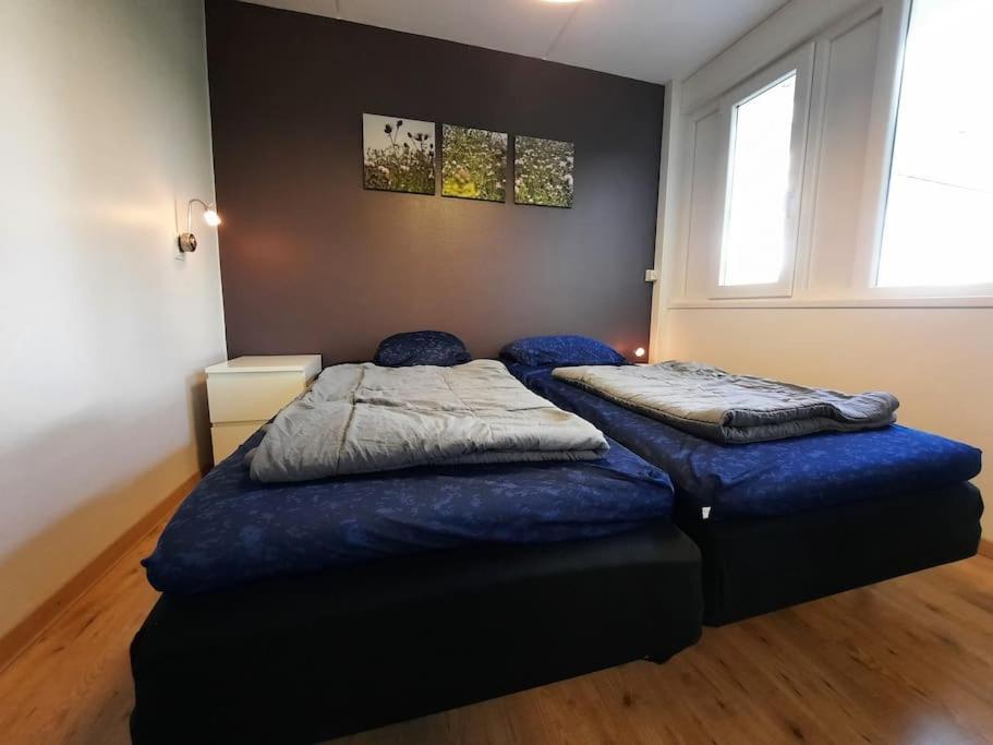 Lepelblad 1 Vakantiehuis Nieuwvliet
