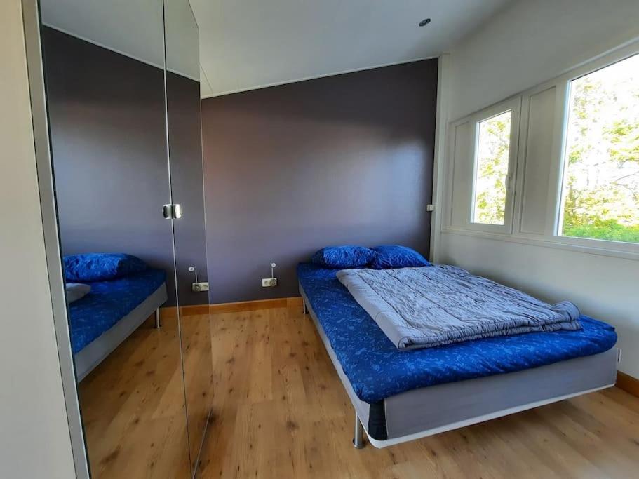 Lepelblad 1 Vakantiehuis Nieuwvliet